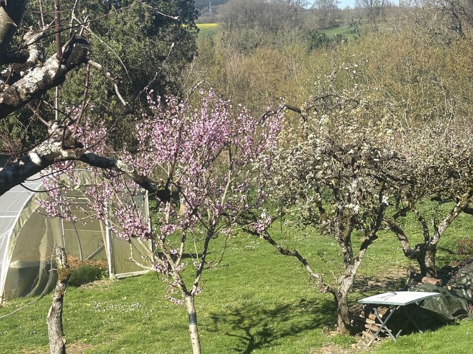 Villa i Bossay-sur-Claise, Indre-et-Loire - foto 4