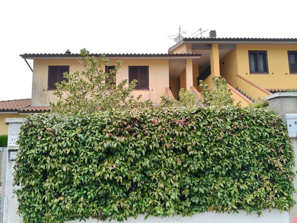 Villa i Todi, Perugia - foto 1