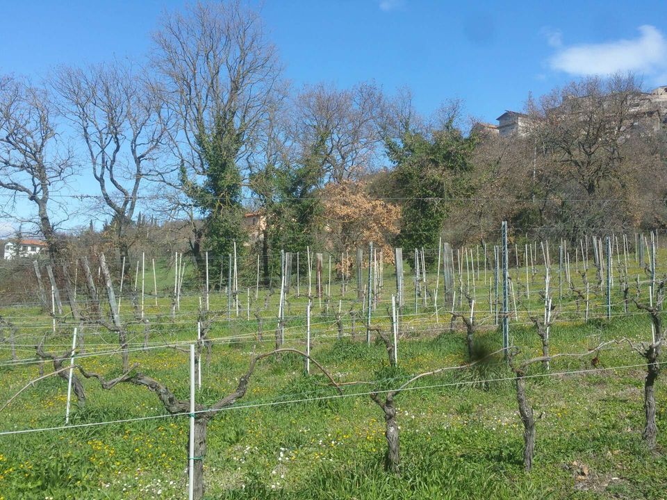 Villa i Lugnano in Teverina, Terni - foto 1
