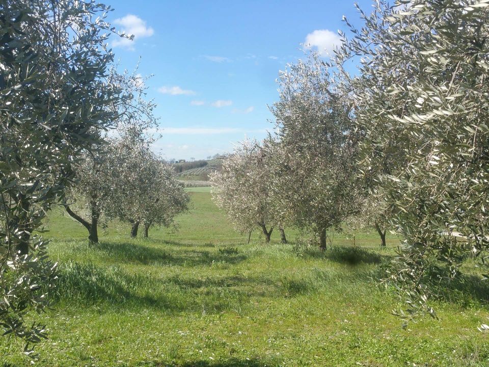 Villa i Lugnano in Teverina, Terni - foto 5