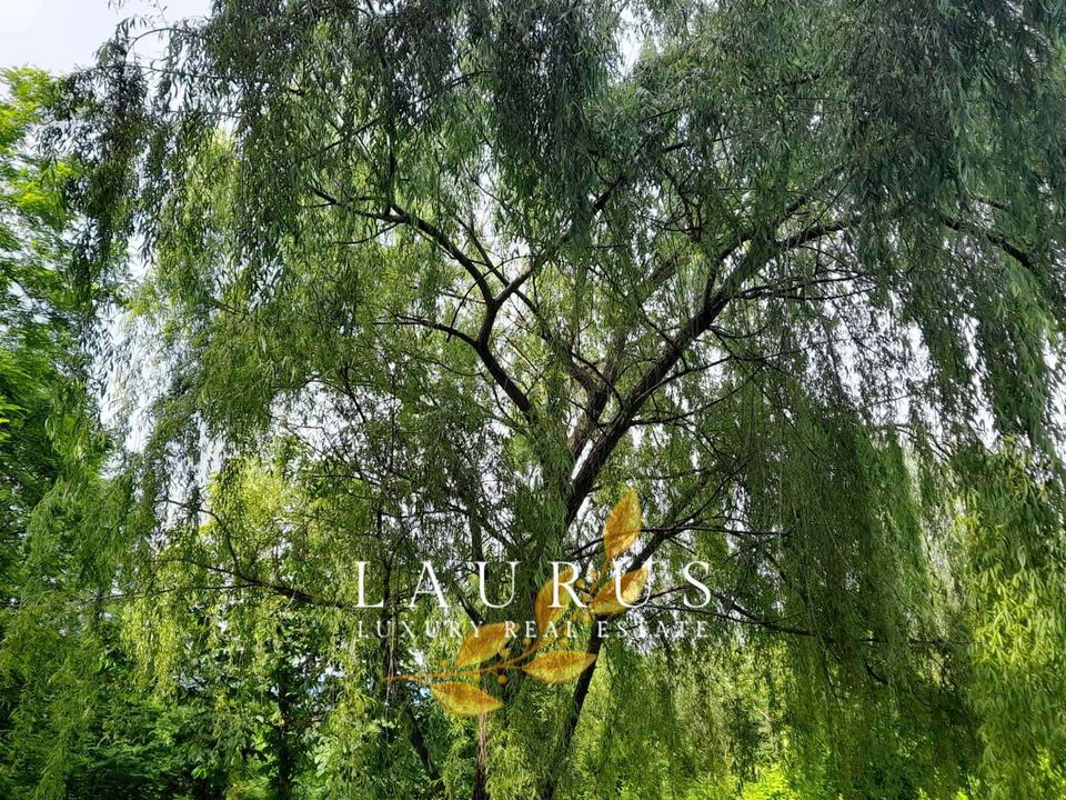Villa i Terranuova Bracciolini, Arezzo - bilde 3