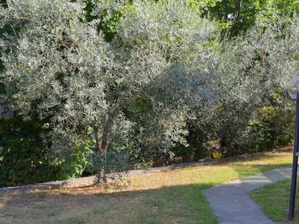 Villa i Impruneta, Florence - foto 5
