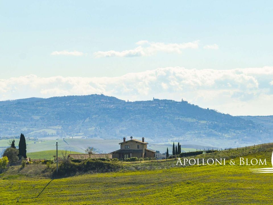Villa i Montalcino, Siena - foto 4