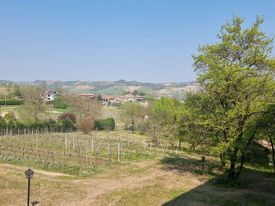 Herregård i San Marzano Oliveto, Asti - bilde 2