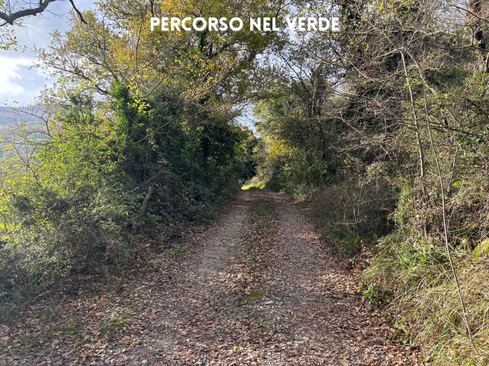 Villa i Sassofortino, Grosseto - bilde 3