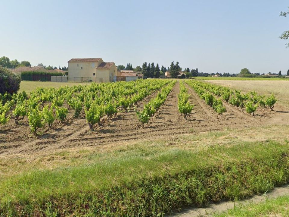 Helårsgrund i Violès, Vaucluse - foto 1