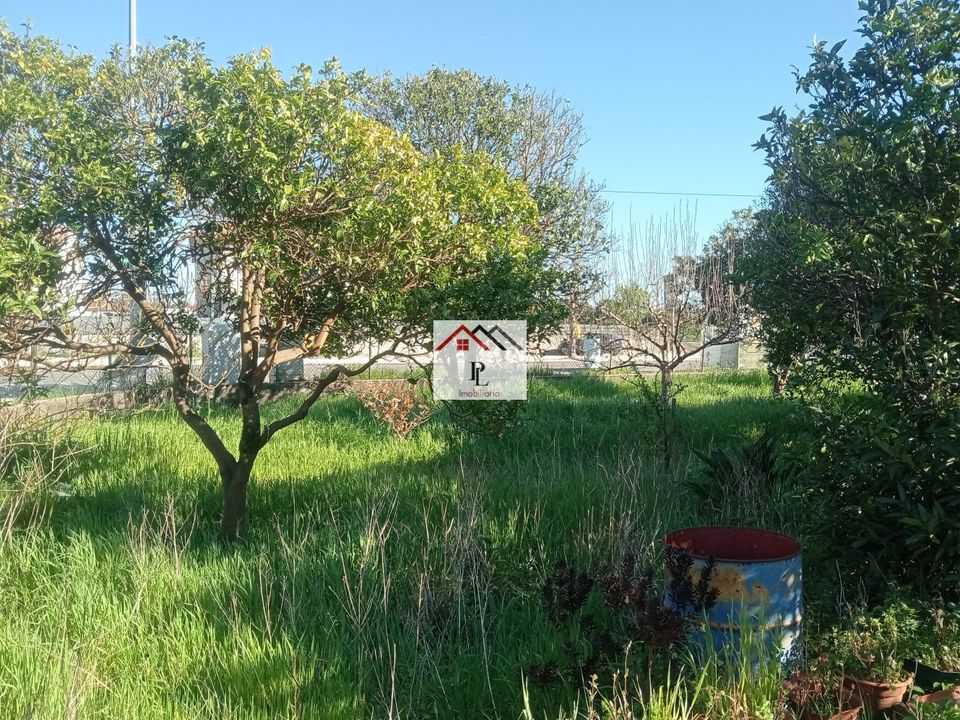 Villa i Cantanhede, Coimbra - foto 2