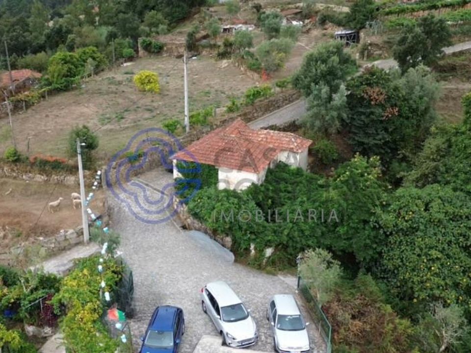 Terra a Cinfaes, Viseu - foto 1