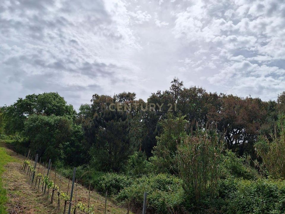 Helårsgrund i Caldas da Rainha, Leiria - foto 2