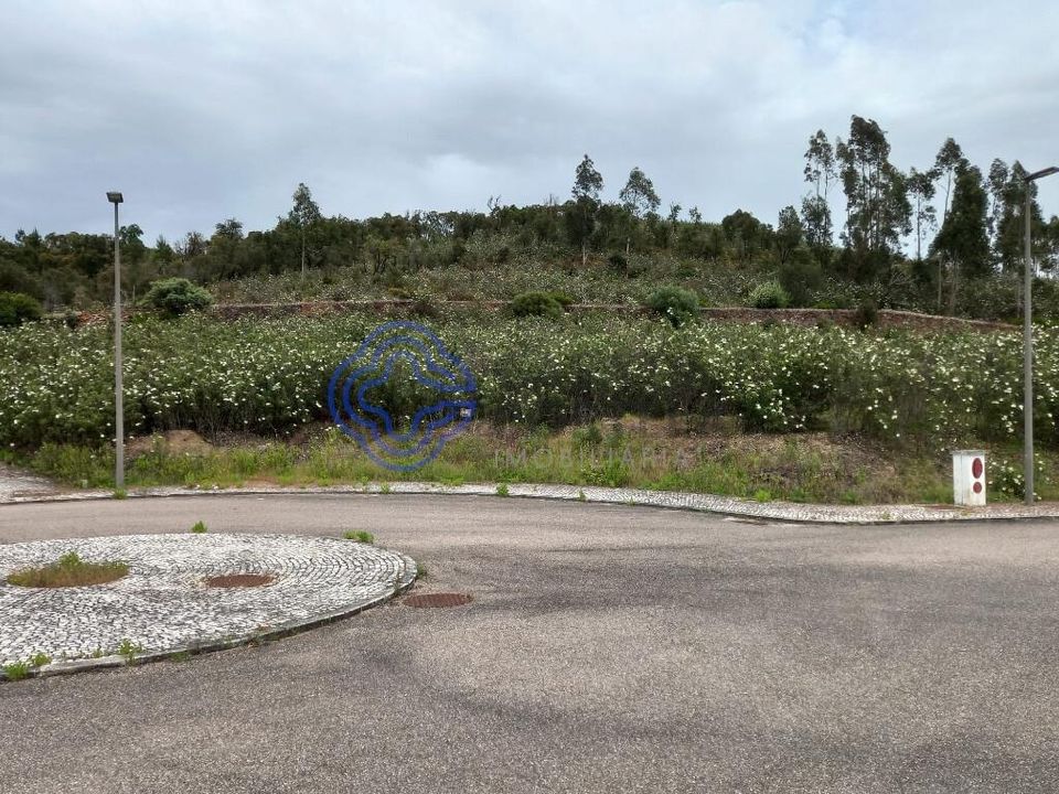 Terra em Constancia, Santarem - foto 5
