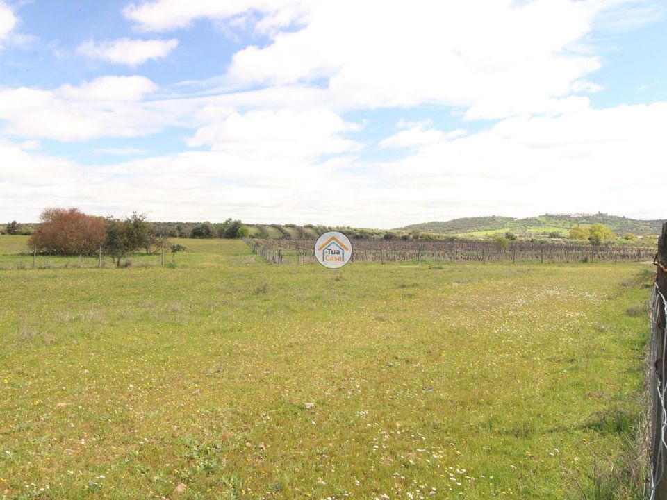 Helårsgrund i Reguengos de Monsaraz, Evora - foto 5