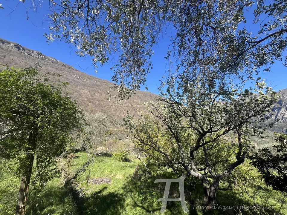 Villa i Breil-sur-Roya, Alpes-Maritimes - foto 2