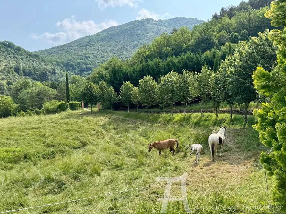 Herregård i Sospel, Alpes-Maritimes - bilde 3