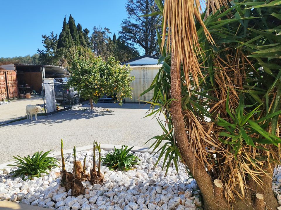 Villa i Saint-Cyprien, Pyrenees-Orientales - foto 3