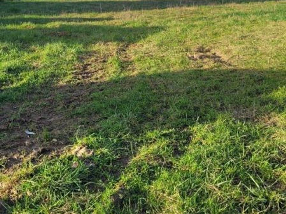 Helårsgrund i Mortemer, Oise - foto 2
