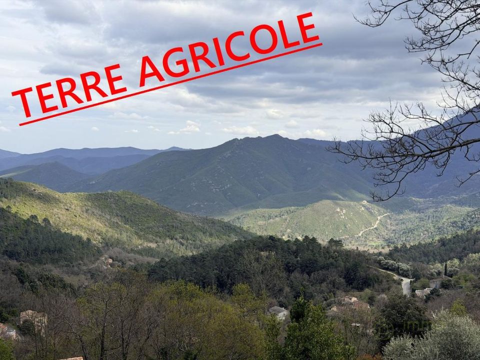 Tomt i Venaco, Haute-Corse - bilde 1