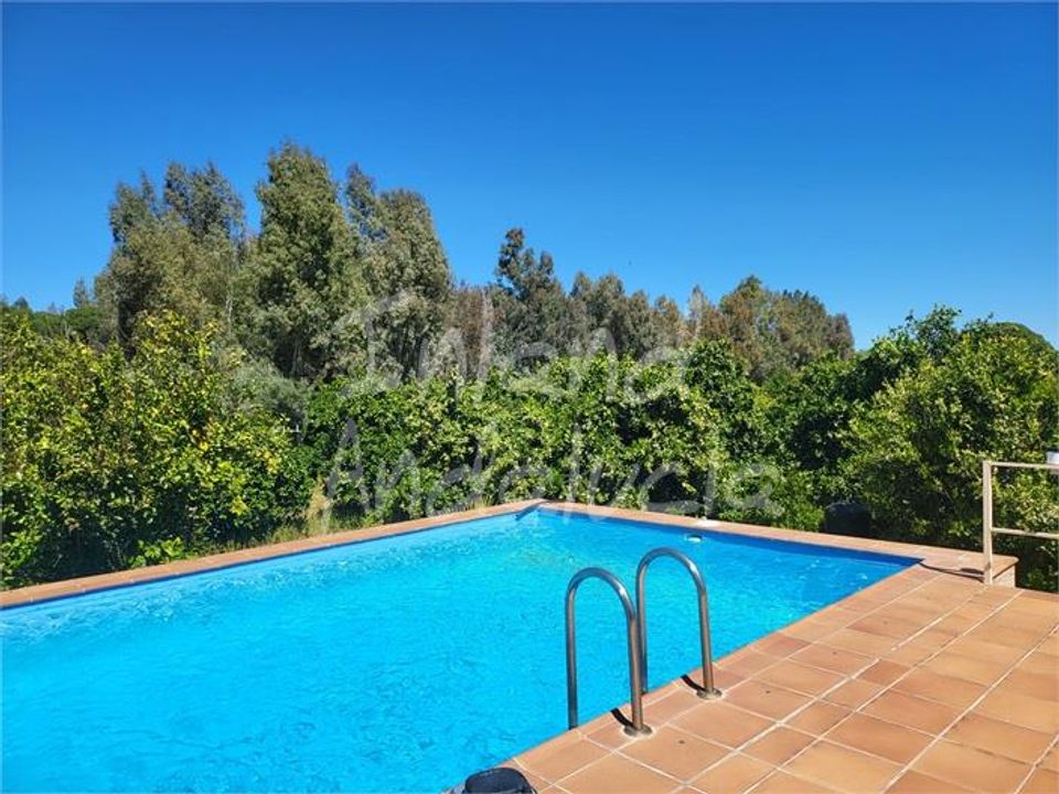 Cortijo en Marchena, Sevilla - foto 3