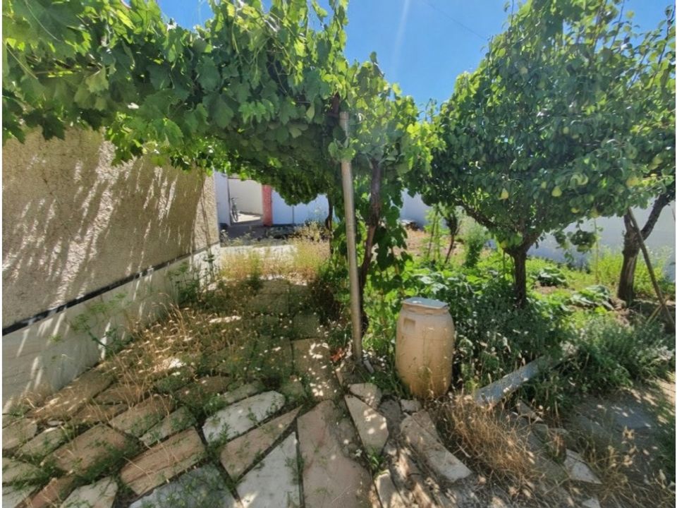 Villa i Terrugem e Vila Boim, Portalegre - foto 2