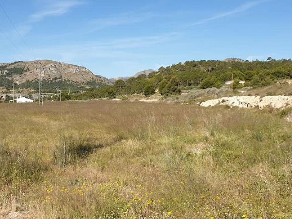 Helårsgrund i La Romana, Alicante - foto 1