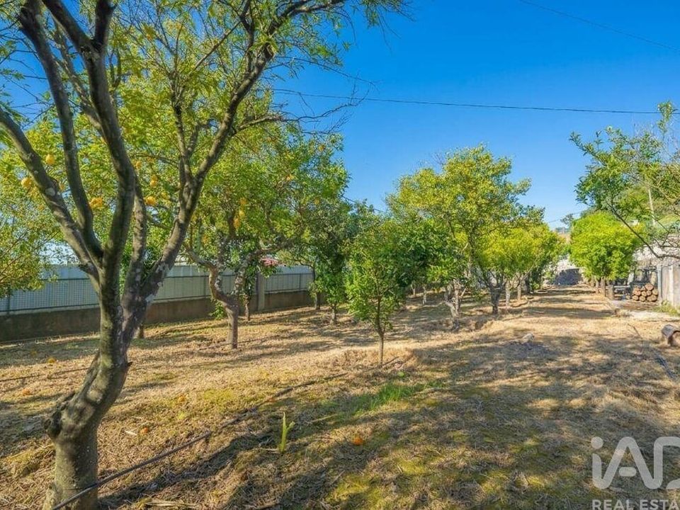 Byhus i Palmela, Setubal - foto 4