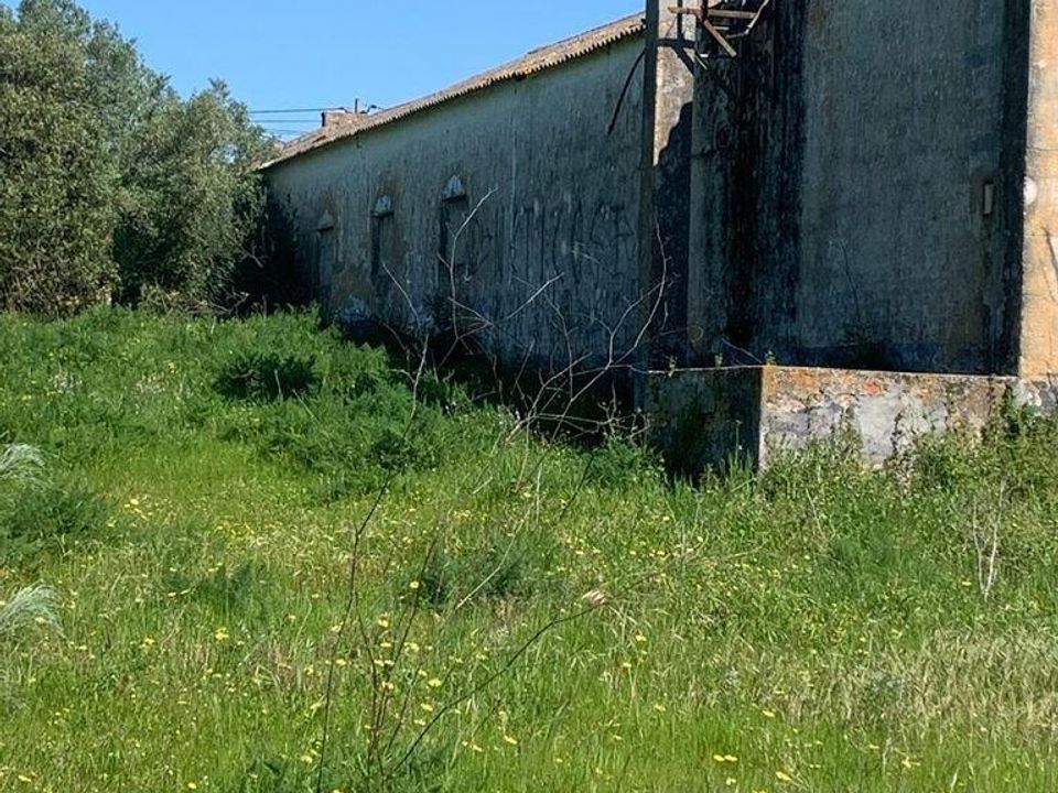 Helårsgrund i Palmela, Setubal - foto 5