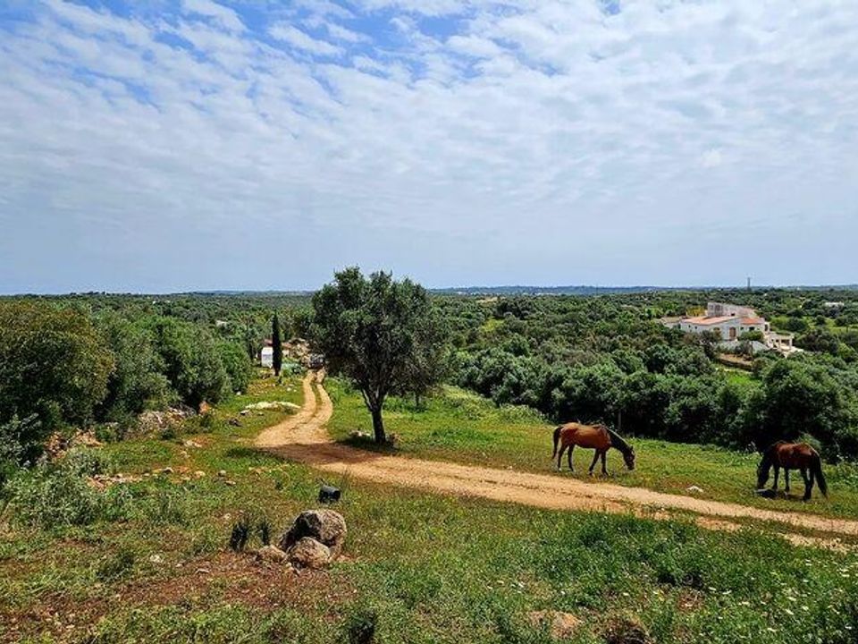 Helårsgrund i Sagres, Faro - foto 1