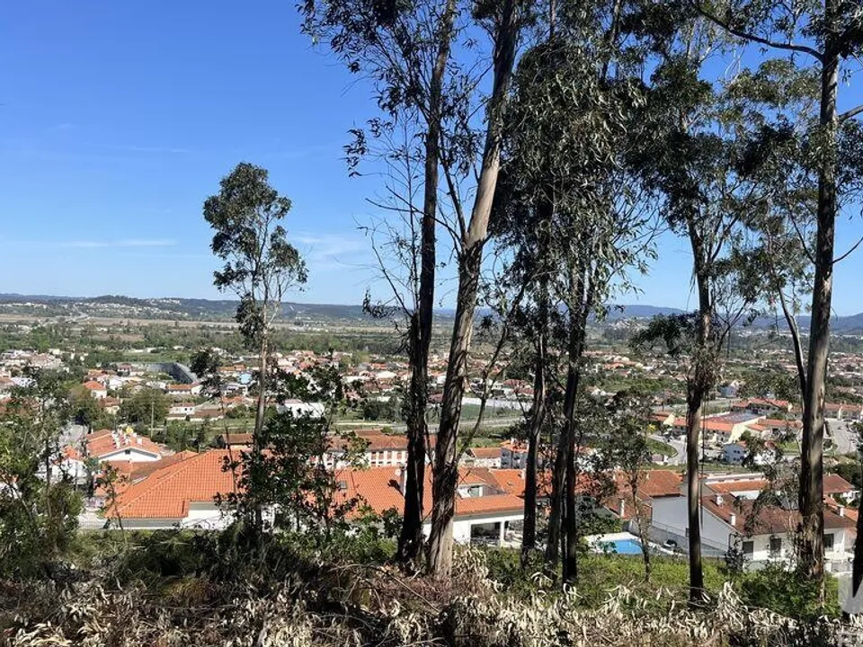 Helårsgrund i Coimbra, Coimbra - foto 2