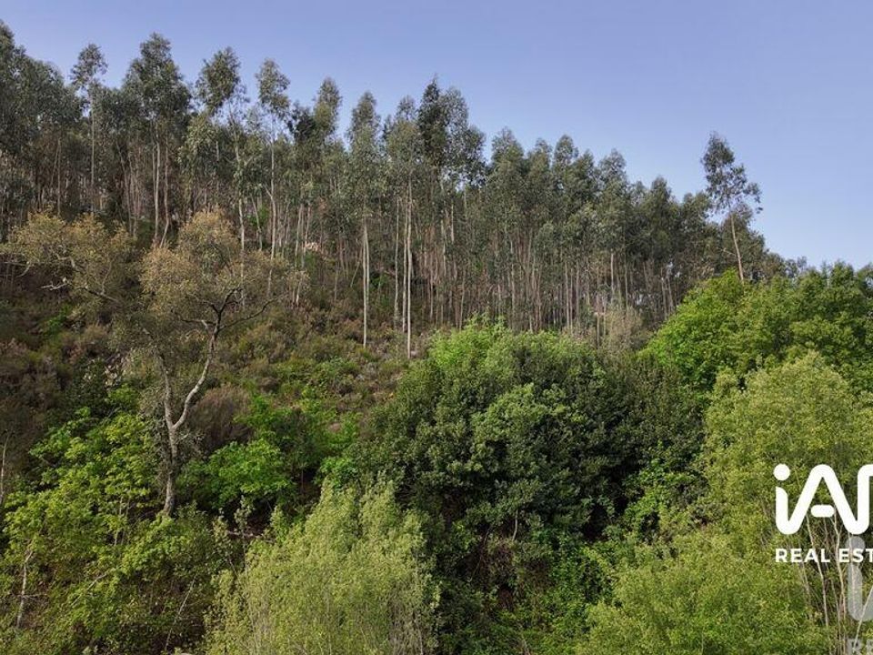 Casa de cidade em Pedrogao Grande, Leiria - foto 5