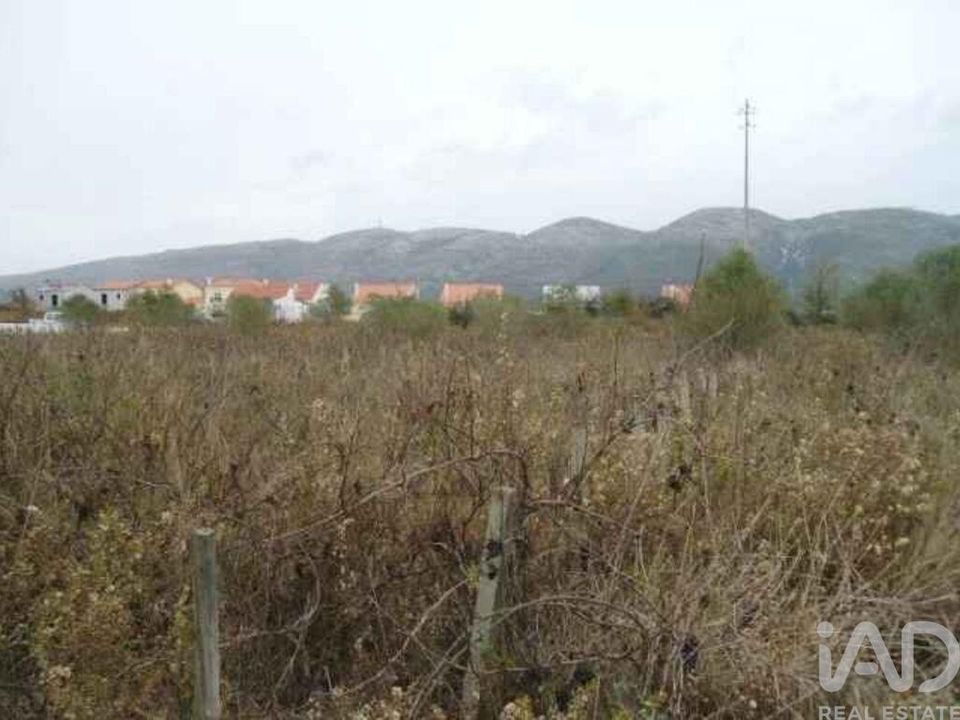 Helårsgrund i Alcobaca, Leiria - foto 2