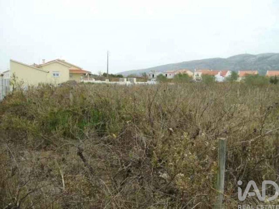 Helårsgrund i Alcobaca, Leiria - foto 3
