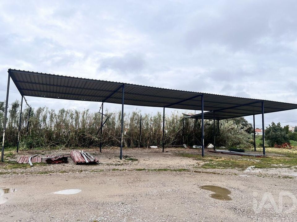 Erhvervsejendom i Santiago do Cacem, Setubal - foto 3
