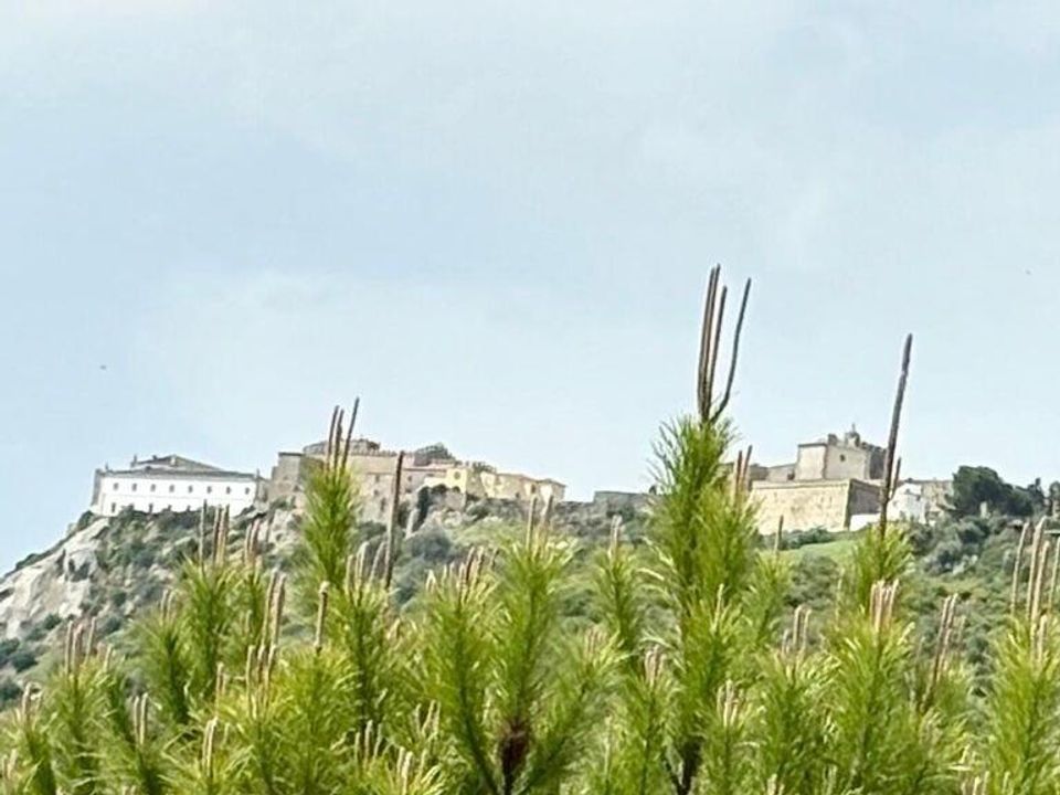 Byhus i Palmela, Setubal - foto 5