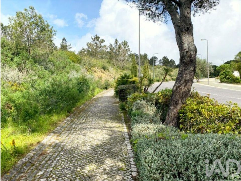 Terra a Sintra, Lisbon - foto 1