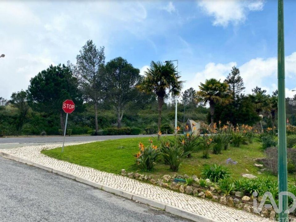 Terra a Sintra, Lisbon - foto 4