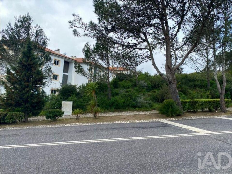 Terra a Sintra, Lisbon - foto 5