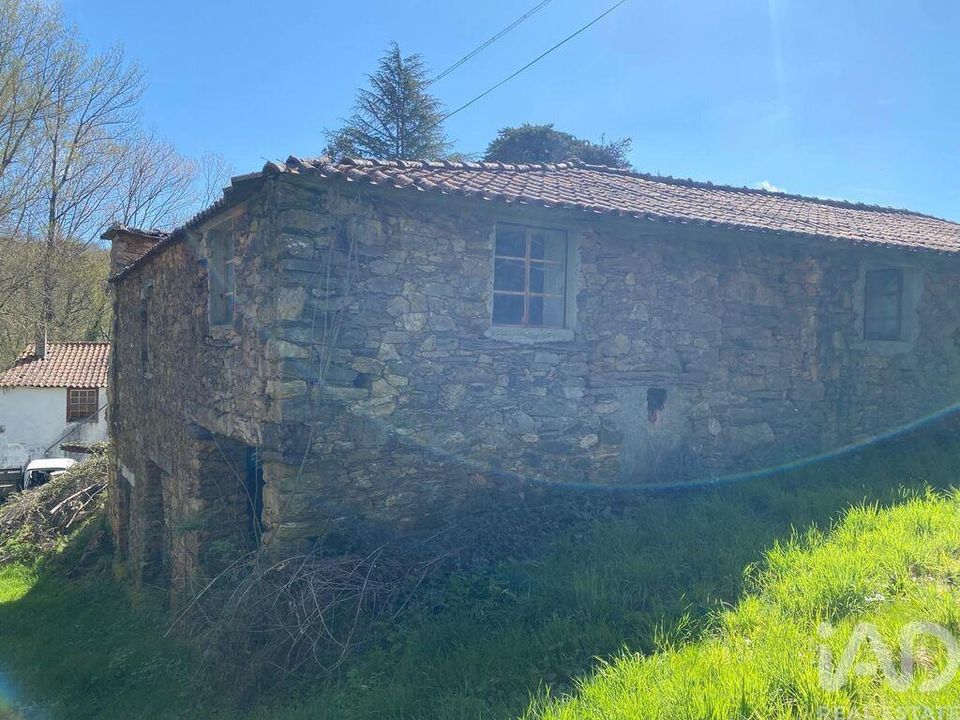 Farm i Braganca, Braganca - foto 3