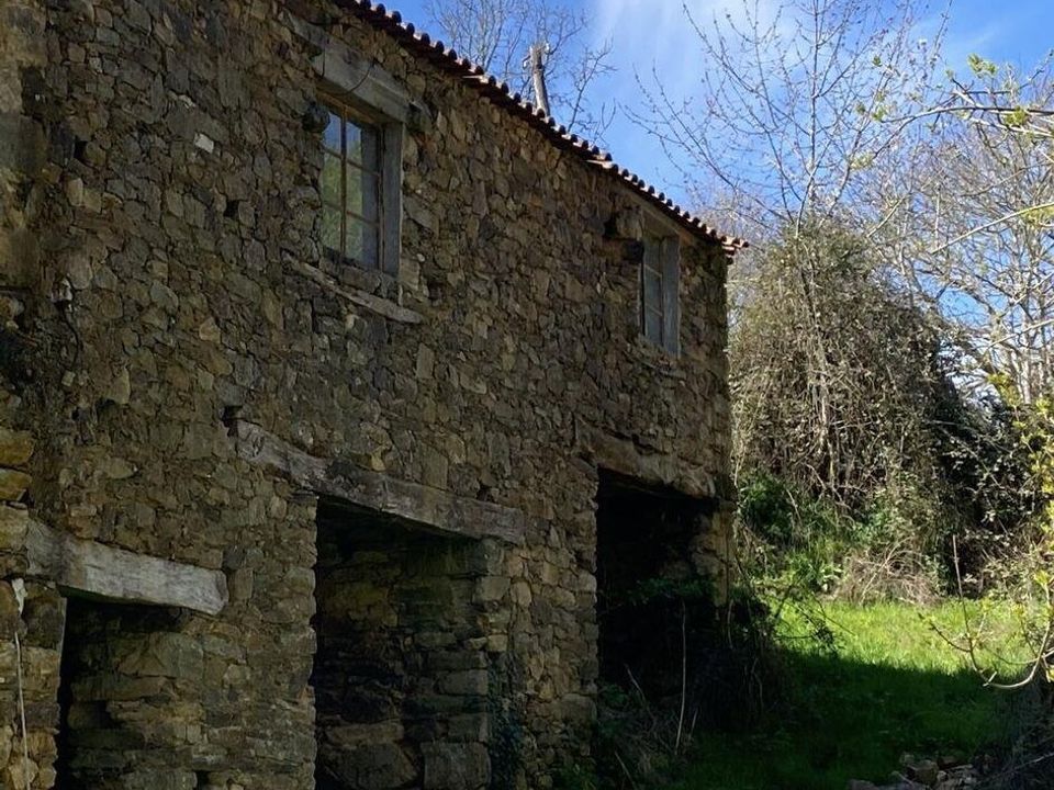 Farm i Braganca, Braganca - foto 5