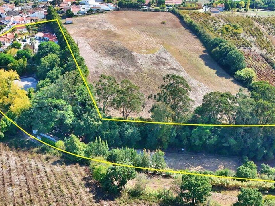 Farm i Bombarral, Leiria - foto 3
