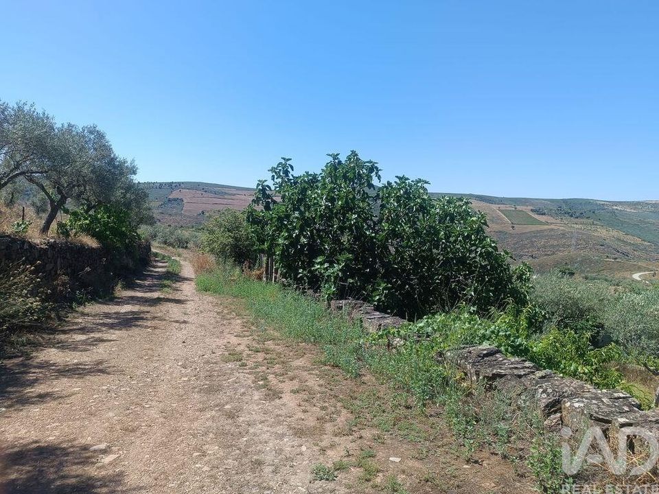 Helårsgrund i Freixo de Espada a Cinta, Braganca - foto 1
