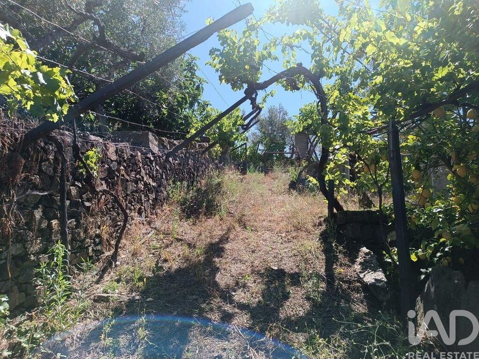 Helårsgrund i Freixo de Espada a Cinta, Braganca - foto 2
