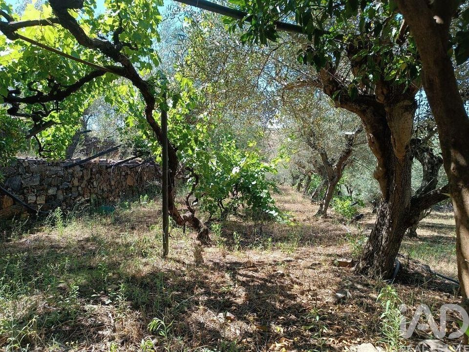 Helårsgrund i Freixo de Espada a Cinta, Braganca - foto 5