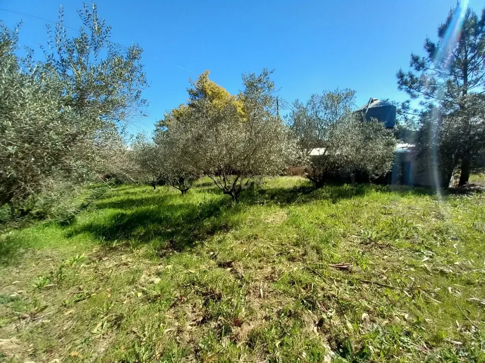 Farm hus i Castelo Branco, Castelo Branco - foto 3