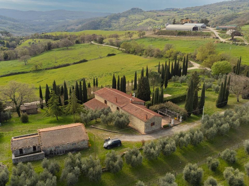 Villa i Scansano, Grosseto - bilde 4