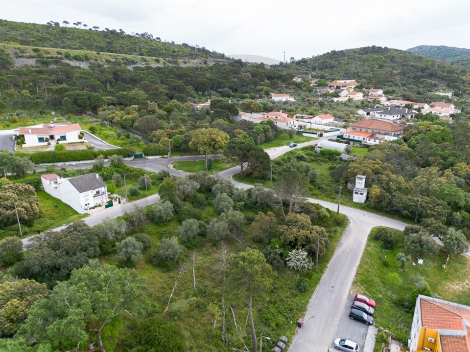 Terra em Minde, Santarem - foto 2