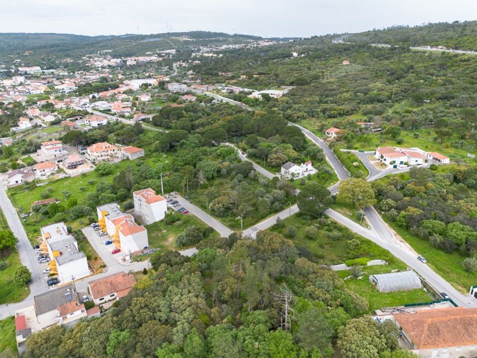 Terra em Minde, Santarem - foto 3