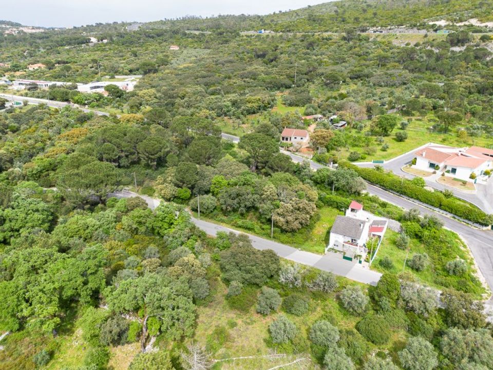 Terra em Minde, Santarem - foto 2