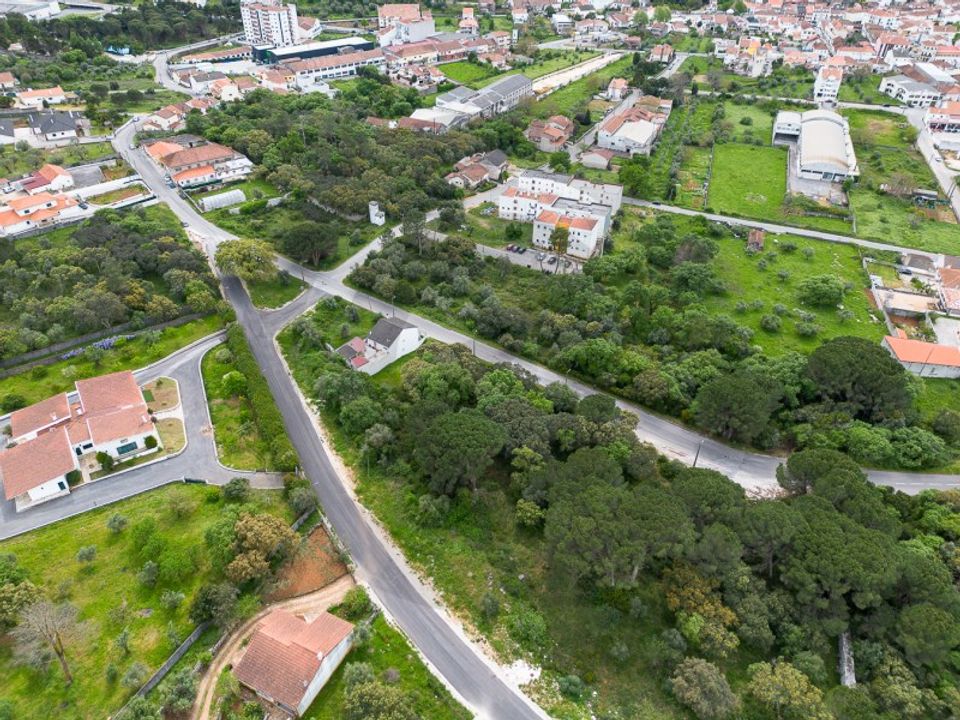 Terra em Minde, Santarem - foto 3