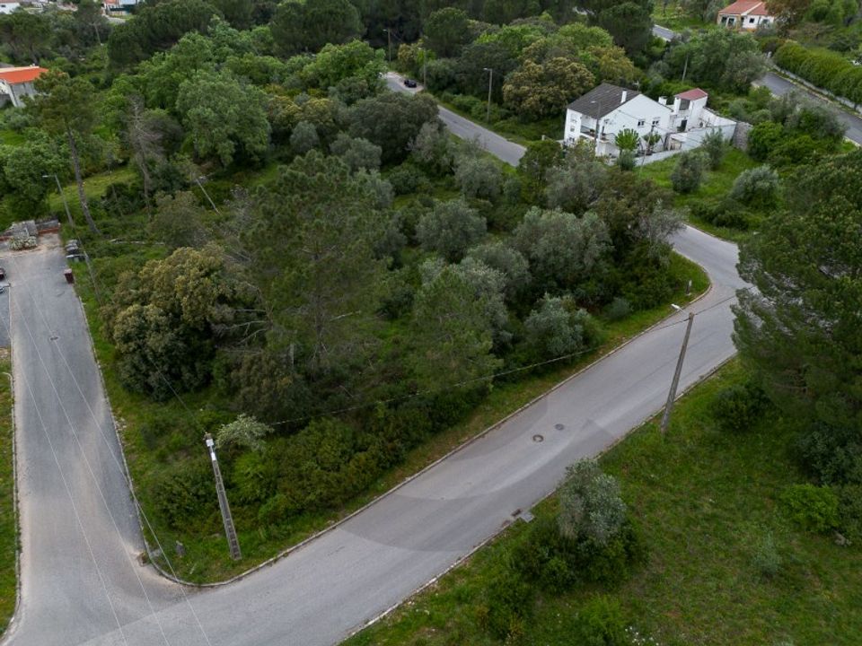Terreno en Minde, Santarem - foto 1