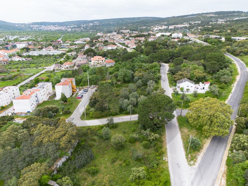 Terra em Minde, Santarem - foto 4
