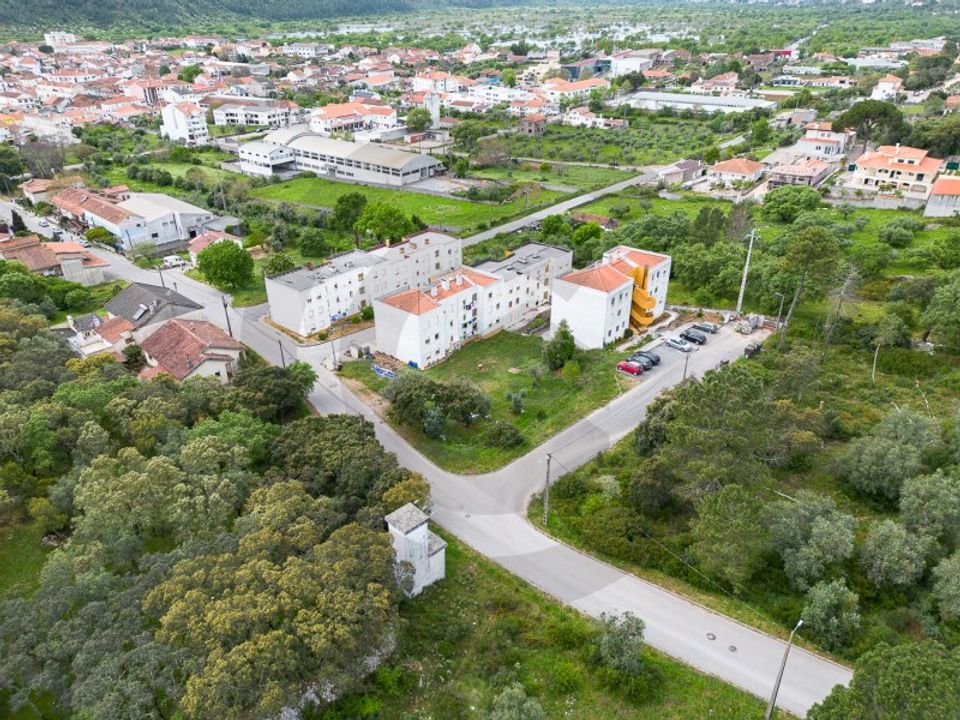 Terra em Minde, Santarem - foto 5